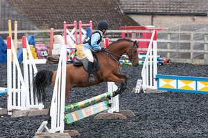 Class 2 -  Fences not above 2'